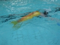 Meerjungfrauenschwimmen-163.jpg